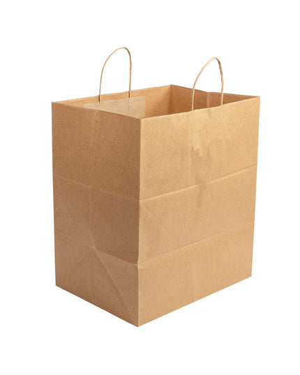 BROWN SHOPPING PAPER BAG W/ TWISTED HANDLES 200/CS