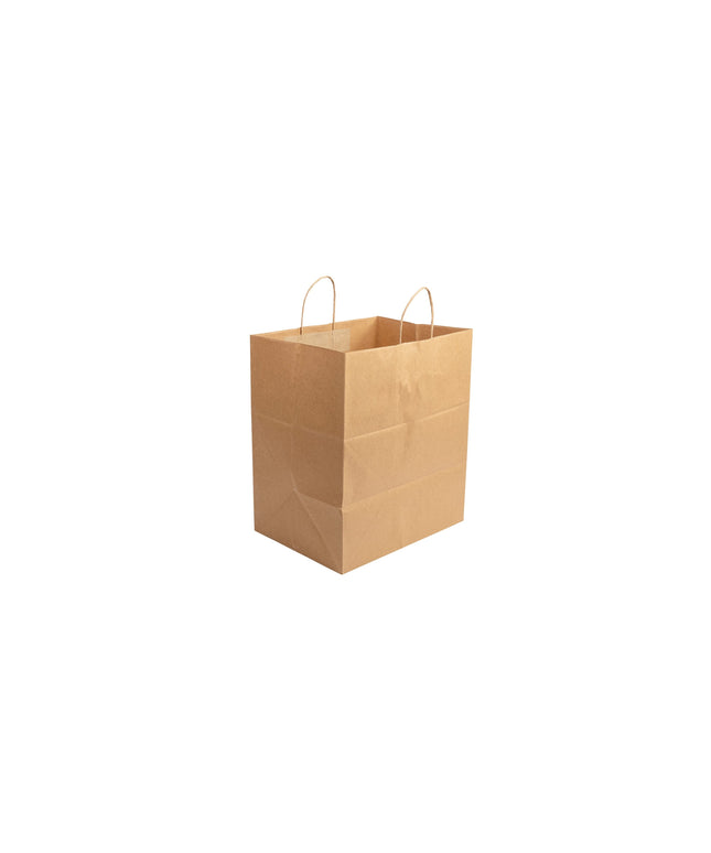 BROWN SHOPPING PAPER BAG W/ TWISTED HANDLES 200/CS