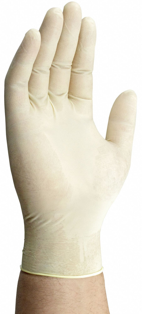 NO POWDER LATEX GLOVES LARGE 10/100 CS